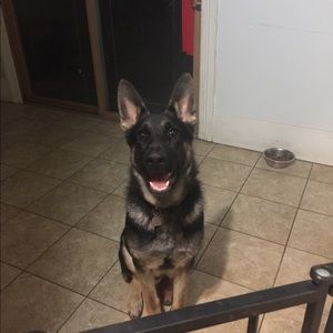 Meet your Posher, Kimberly